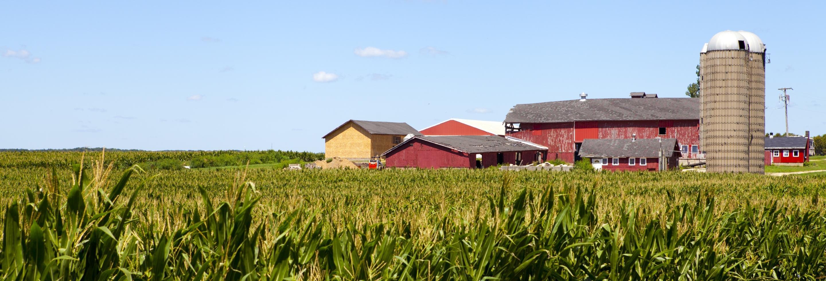 a field with a farm in the background