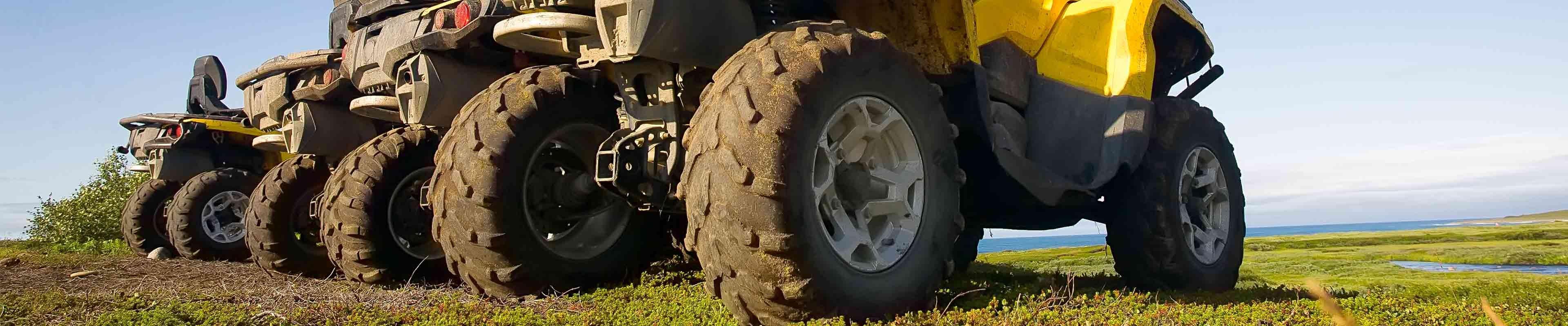 Three ATVs for sale sitting on a patch of grass