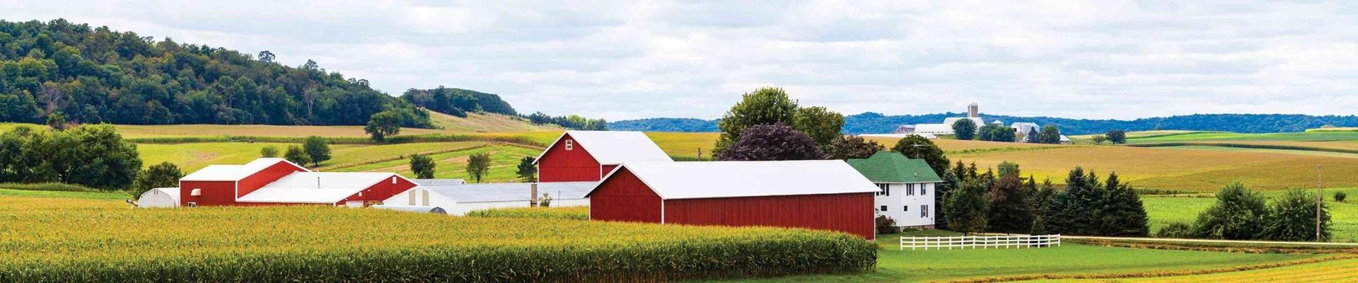 a farm with a few buildings