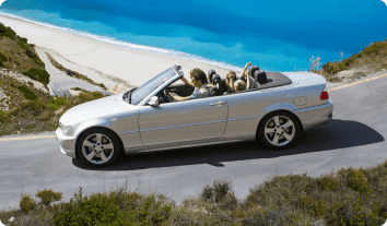 a car with dogs in it